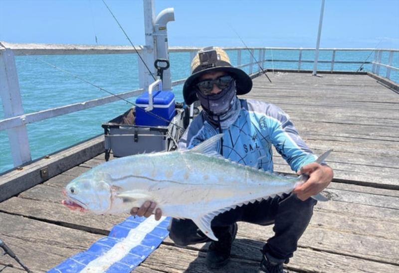 Here's Don with a sizeable Urangan Pier queenfish. Sight-fishing for cruising queenies can be fun this time of year - photo © Fisho's Tackle World