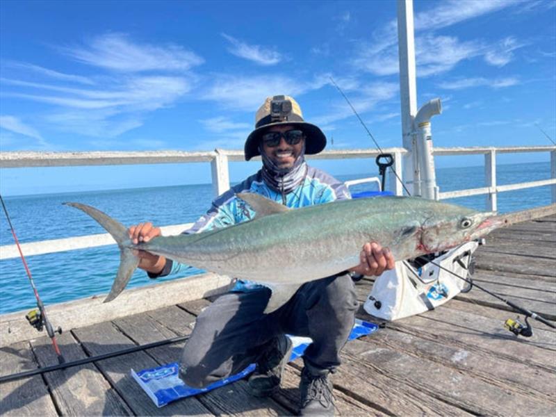 Don caught this quality broadie from Urangan Pier this week. If the hardy heads hang about, so will the broadies - photo © Fisho's Tackle World