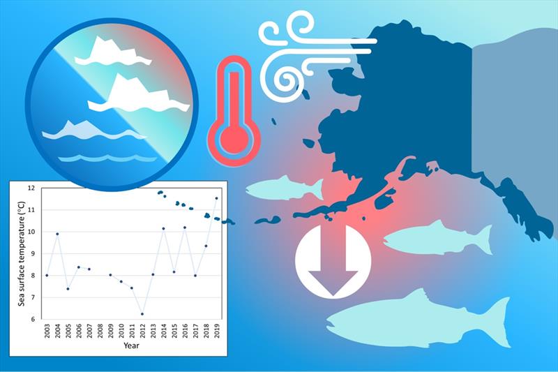 Arctic regions are experiencing accelerated warming, extremes in seasonal sea ice extent, and reduced salmon runs photo copyright NOAA Fisheries taken at  and featuring the Fishing boat class