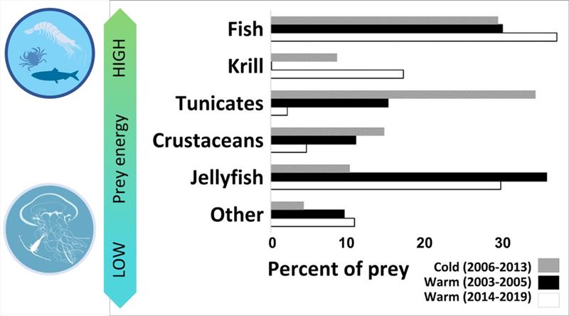 The comparison of juvenile chum salmon stomach contents reflected a change in diets between warm and cold periods photo copyright NOAA Fisheries taken at  and featuring the Fishing boat class