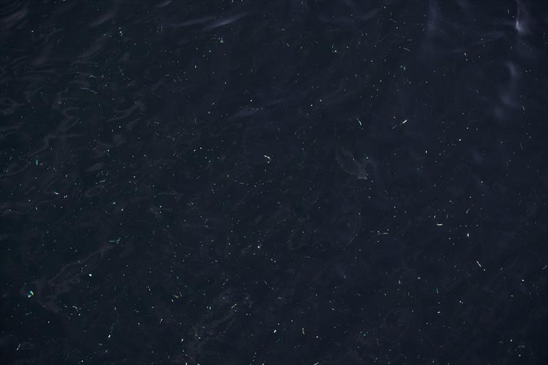 Scales of bait fish snowing in the water after a pack of aussie salmon came through the Hobart docks photo copyright Spot On Fishing Hobart taken at  and featuring the Fishing boat class