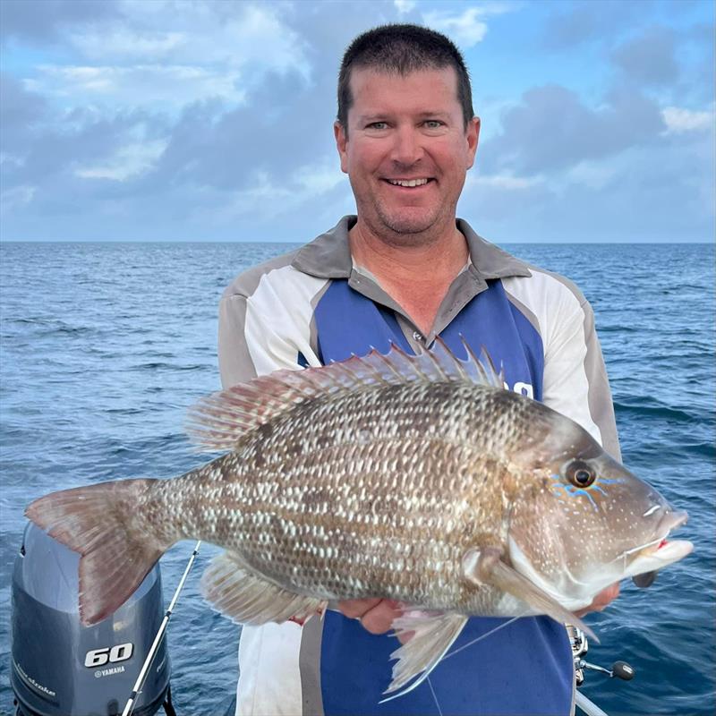 Grassy sweetlip will be increasingly common as summer unfolds. Ryan Sanders was happy with this fatty - photo © Fisho's Tackle World
