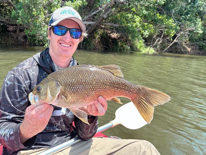 Sam Cass spent a day out chasing the local bass, and got amongst fish like this chunky model - photo © Fisho's Tackle World
