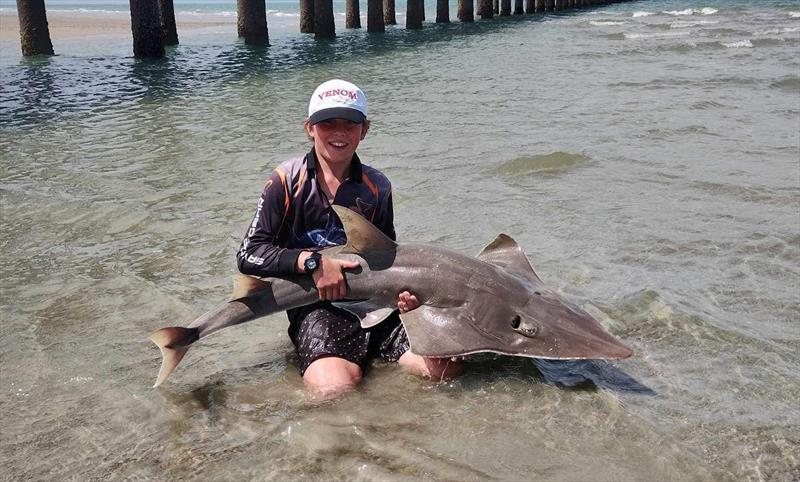 Justin with a white-spotted shovelnosed shark from Urangan Pier waters. These things pull much harder than their brown cousins - photo © Fisho's Tackle World