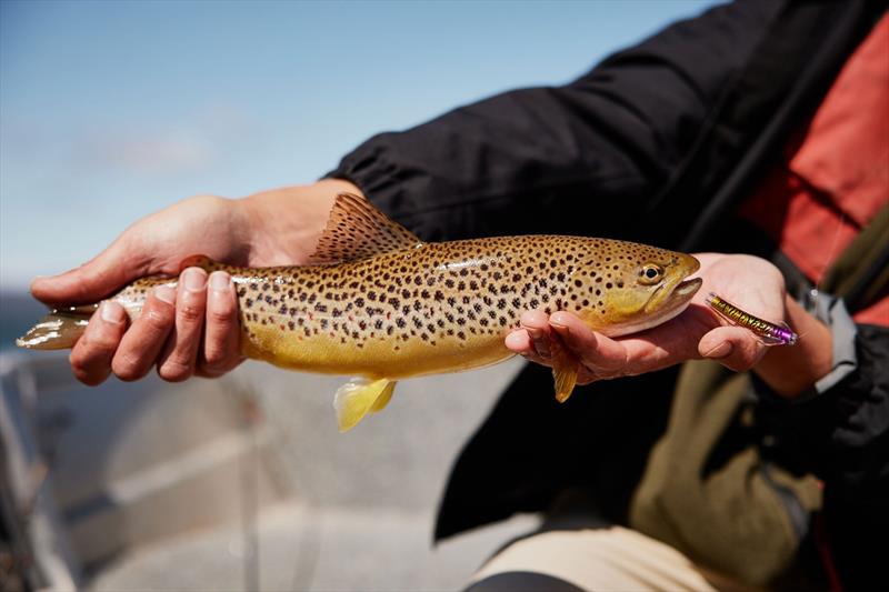 $16,635 raised For Movember - photo © Spot On Fishing Hobart