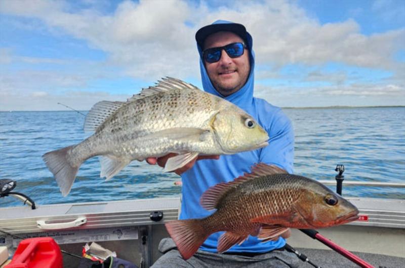 Grunter and jacks are prime targets right now. A hint of freshwater has them on the move and feeding hard - photo © Fisho's Tackle World