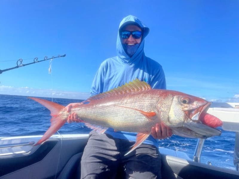 Tom hauled this solid Iron Jaw up from the depths recently. Just one of many jobfish species you can find out there - photo © Fisho's Tackle World