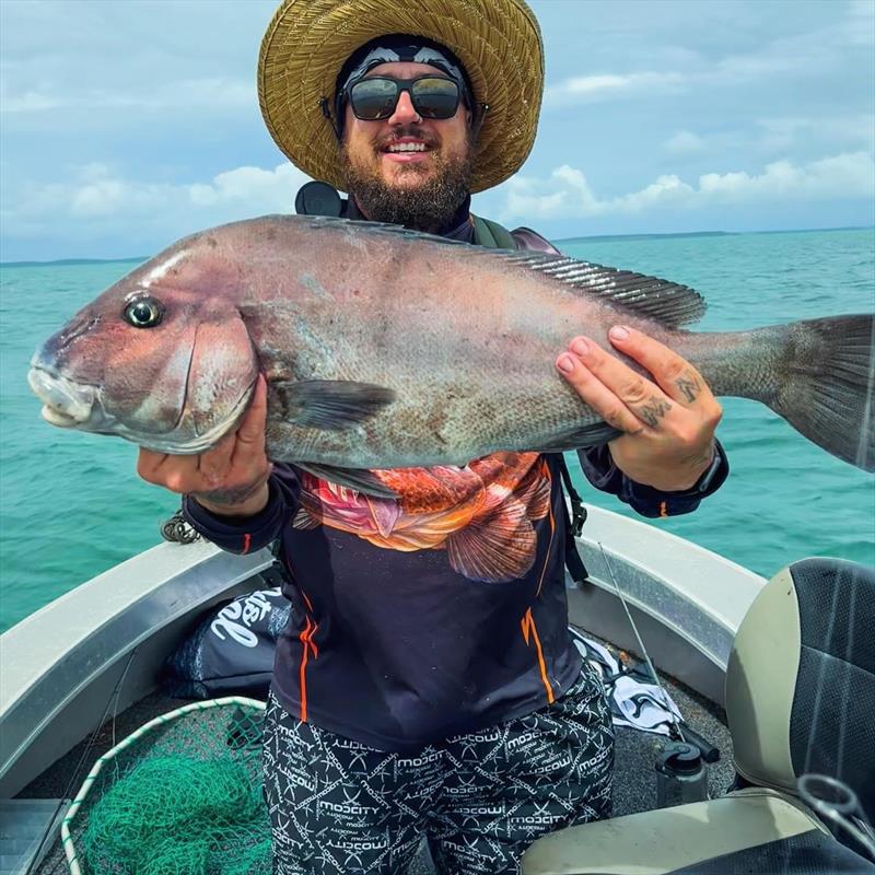 Superb colours in this photo of Jesse's are let down only by the species. Haha! You make even a blackall look good mate - photo © Fisho's Tackle World