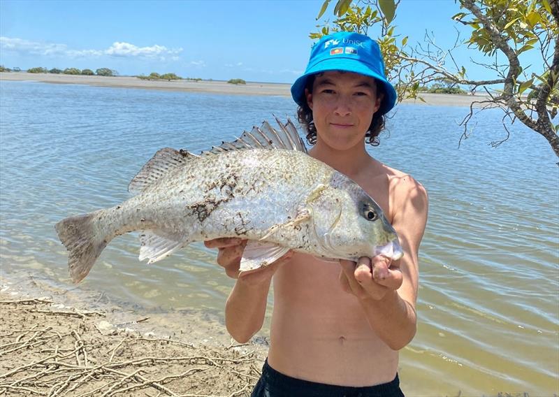 Grunter such as this fine model of Max's are just one of the many prized species you can catch whilst walking our estuaries - photo © Fisho's Tackle World