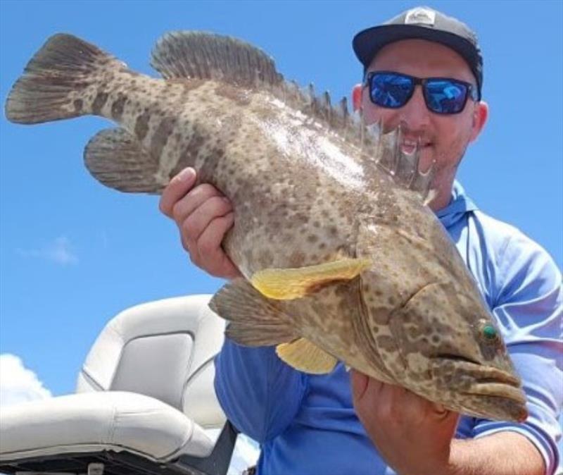 Chunky shallow water estuary cod are a real handful on the lighter tackle. Jacko extracted this one and let it go to fight another day - photo © Fisho's Tackle World