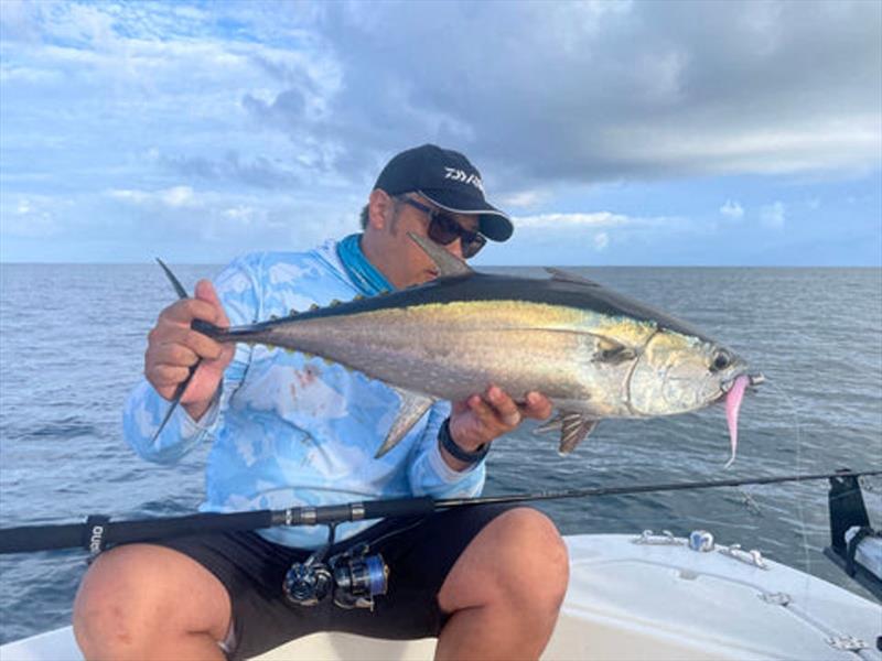 Thanh used a stock standard Hervey Bay tuna lolly to tempt this school longtail. Zman jerkshads and heavy jig heads are winners all the time photo copyright Fisho's Tackle World taken at  and featuring the Fishing boat class