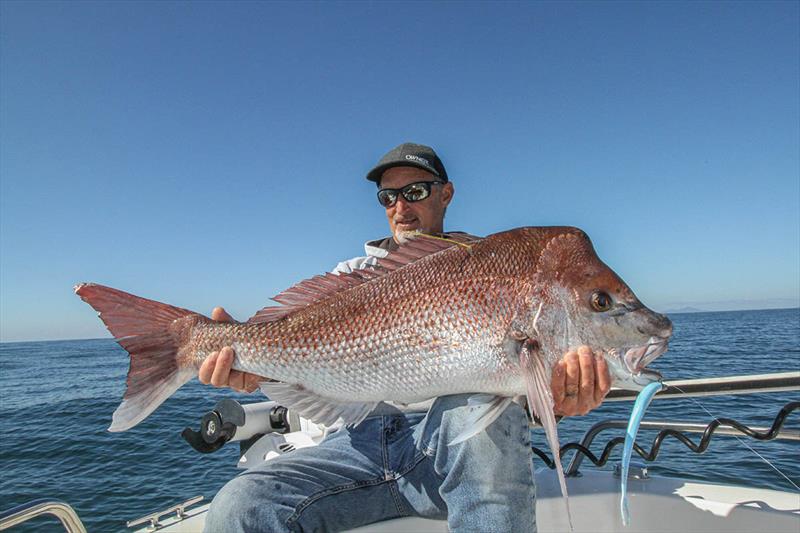 Chasing winter snapper With Zane Levett - photo © Berkley Fishing