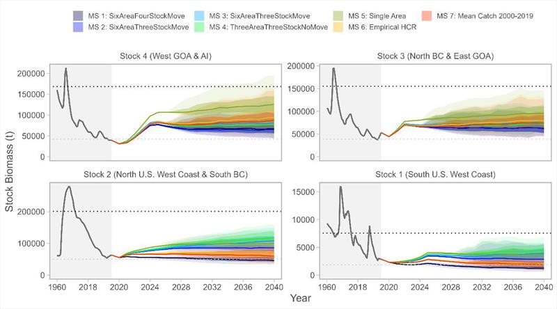 Model trajectories of stock biomass for four biological stocks (panels) for seven management strategies (colors), which are combinations of estimation methods and harvest control rules. The x-axis is condensed during historical period (1960–2019) - photo © NOAA Fisheries