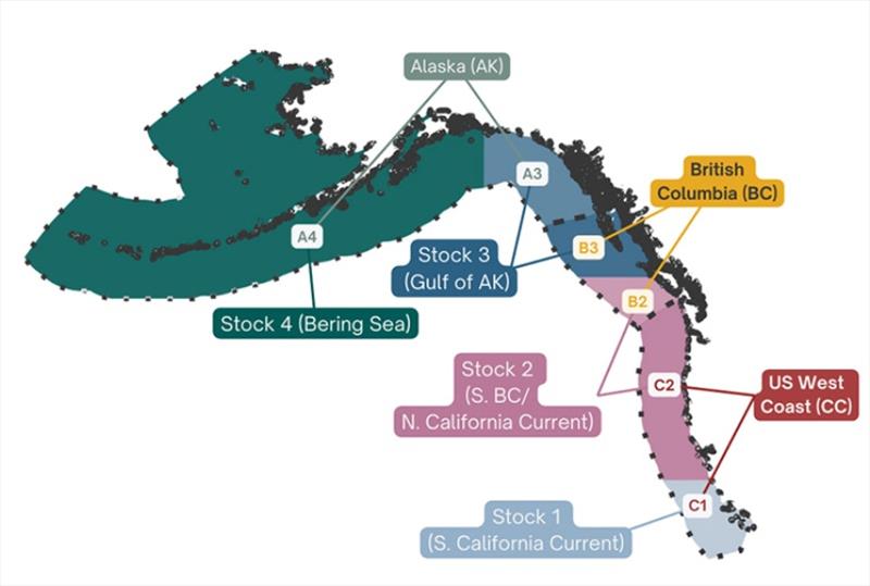 Map depicting spatial structure in management strategy evaluation scenarios. In all scenarios, management actions occur at the three political levels (dotted lines). There are six modeled spatial areas (colors) within which population dynamics are tracked photo copyright NOAA Fisheries taken at  and featuring the Fishing boat class