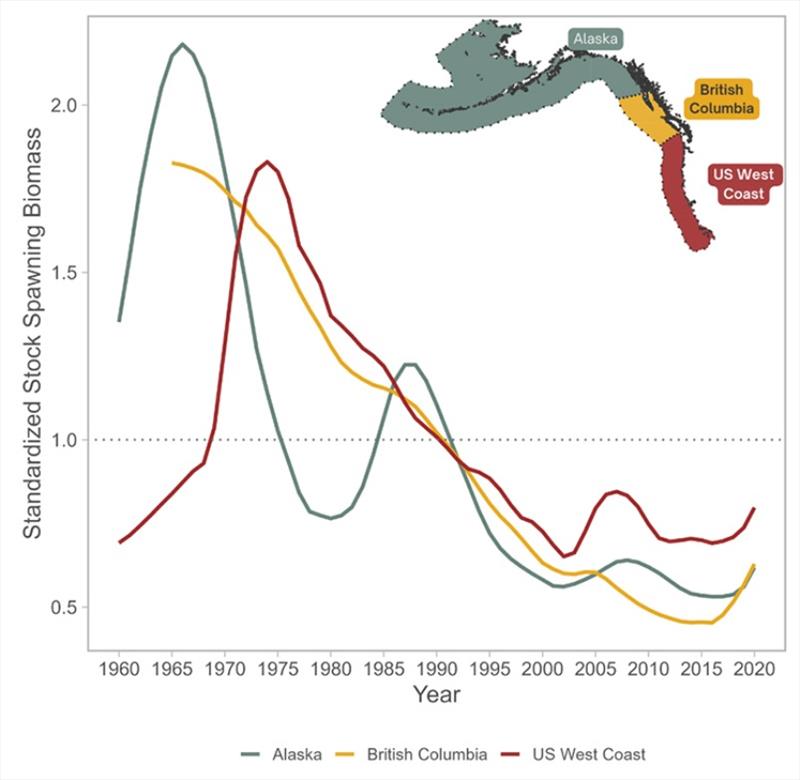 Sablefish population trends in three regions over the past 60 years. The increase in recent years is due to large year classes of small fish photo copyright NOAA Fisheries / Maia Kapur taken at  and featuring the Fishing boat class