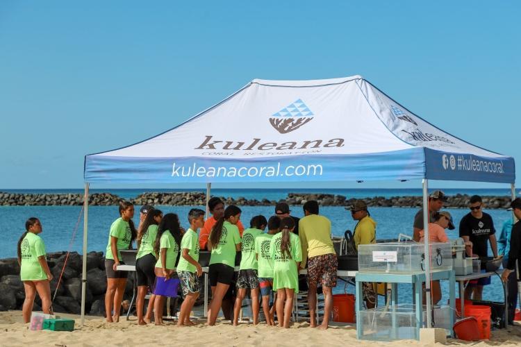 outh from Na Kama Kai, a local nonprofit organization, learn about coral, collect data, and get hands-on restoration experience at an outreach event in March 2024 photo copyright Kuleana Coral Restoration taken at  and featuring the Fishing boat class