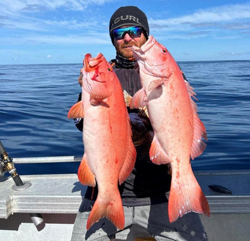 Clayton's crew smashed the reefies during their latest 1770 trip. A fine brace of trout that was just part of their haul - photo © Fisho's Tackle World
