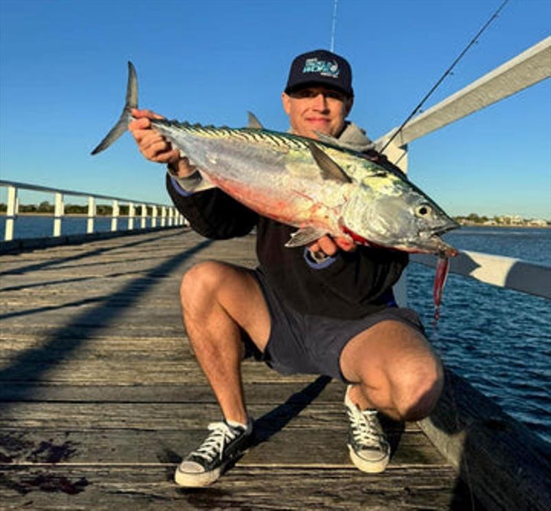 Mac tuna such as this one created moments of excitement out the deep end once again this week - photo © Fisho's Tackle World