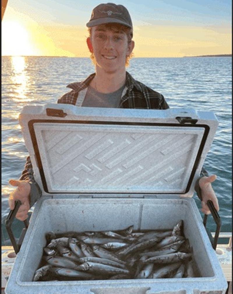 Alex and crew bagged out with 150 whiting in barely 3 hours this week. Fair to say the whiting are in and biting, finally - photo © Fisho's Tackle World