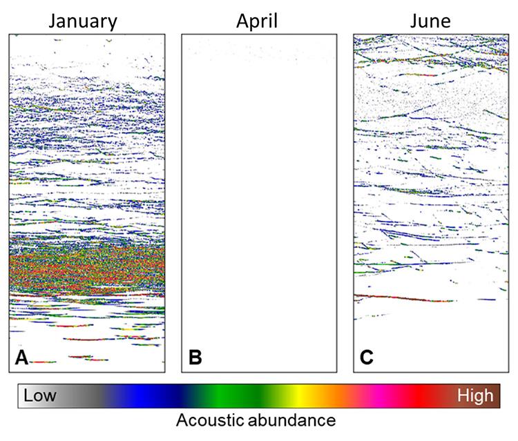 Acoustic abundance during key times of the year at one of the mooring sites. Each panel shows the echoes in the entire water column (120 m depth) photo copyright NOAA Fisheries taken at  and featuring the Fishing boat class
