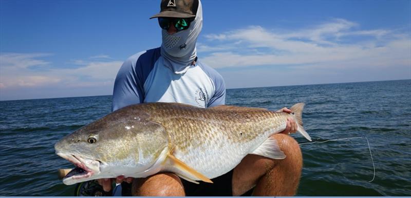 Reel in the redfish while staying at The Pelican Lodge photo copyright Hell's Bay Boatworks taken at  and featuring the Fishing boat class