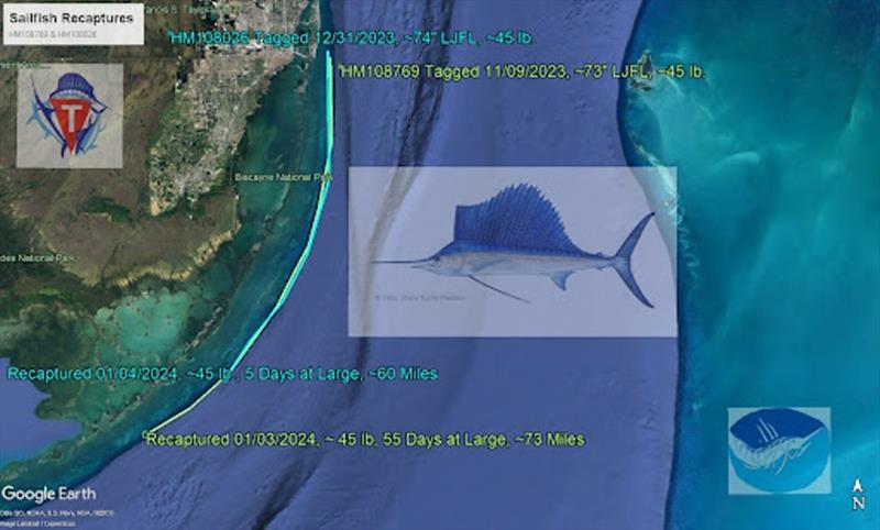 A map of the 2023-2024 sailfish recaptures photo copyright NOAA Fisheries taken at  and featuring the Fishing boat class