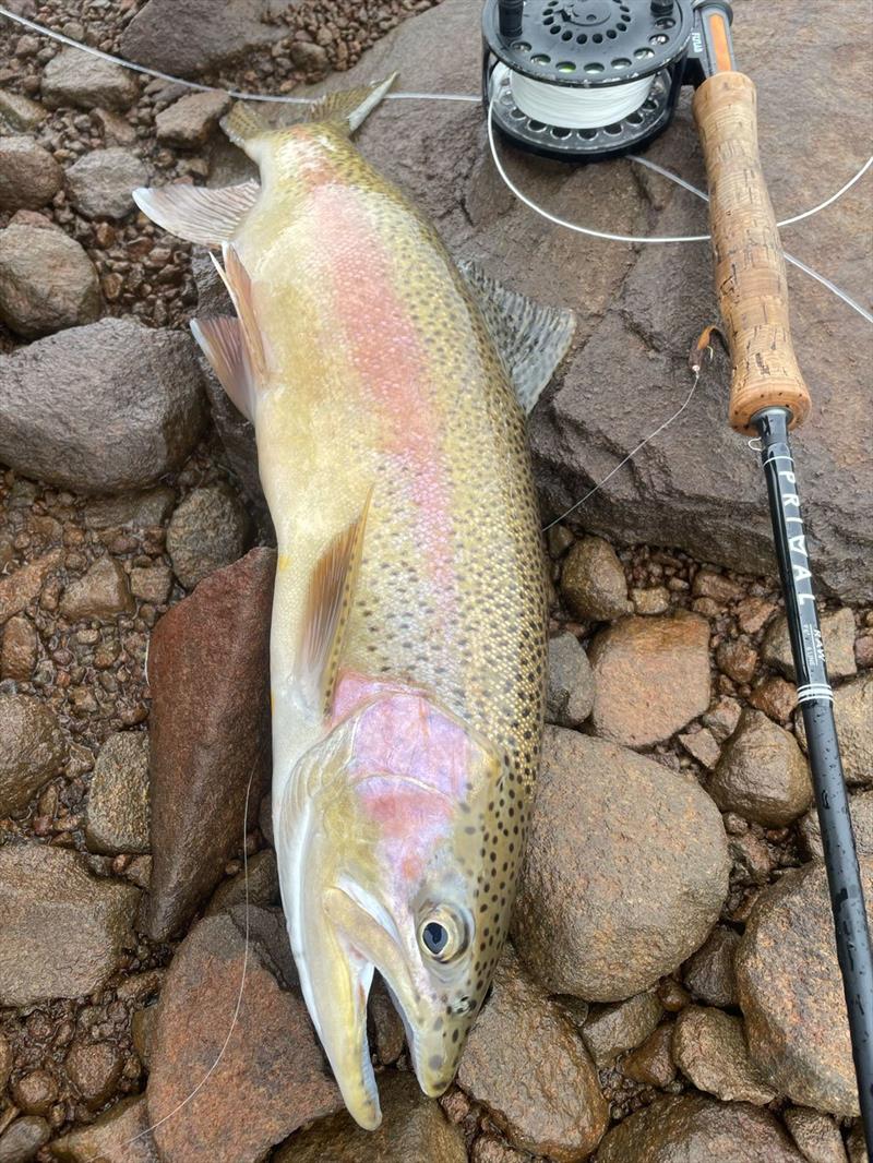 Adrian Dalla Fontana caught this belter of a rainbow at Great Lake recently - photo © Spot On Fishing Hobart