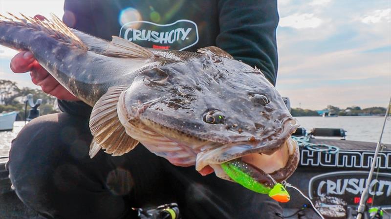 Rapala CrushCity Heavy Hitter - photo © Rapala