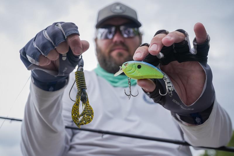 Michael Neal - Toyota Series by Phoenix Boats Southern Division photo copyright Rob Matsuura / Major League Fishing taken at  and featuring the Fishing boat class