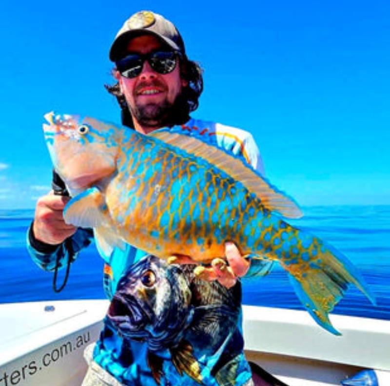 A surf parrot caught on a recent Hot Reels Fishing Charter photo copyright Fisho's Tackle World taken at  and featuring the Fishing boat class