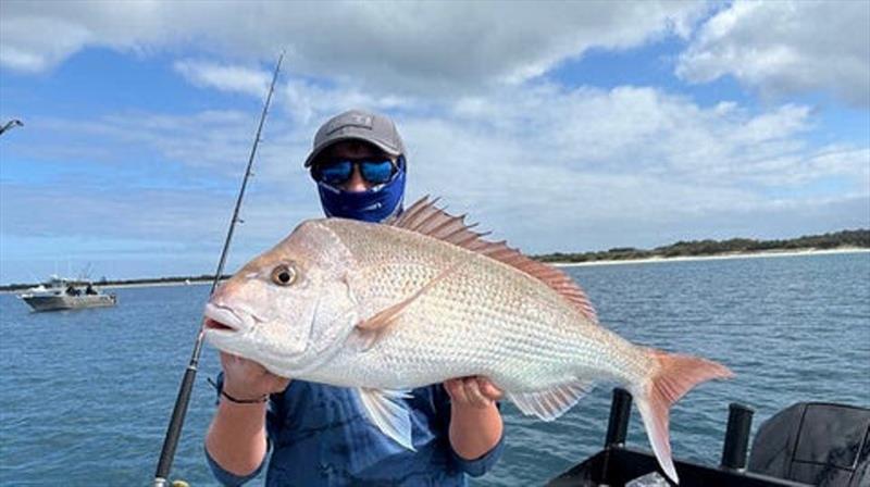 If you want to catch Hervey Bay snapper such as this one of Aiden's then you had better get a wriggle on photo copyright Fisho's Tackle World taken at  and featuring the Fishing boat class