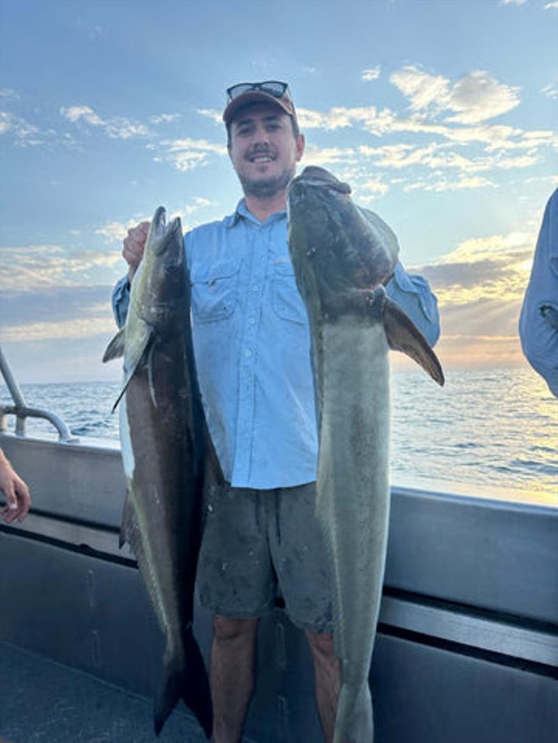 Schools of cobia have turned up off the Wide Bay bar and Greg from Double Island Point Fishing Charters is onto them photo copyright Fisho's Tackle World taken at  and featuring the Fishing boat class