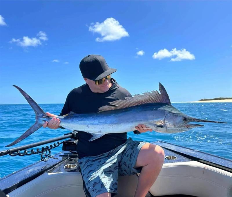 Black marlin appear quite cute when they are little, yet so mean when they are big. The little fellas are never short on attitude though photo copyright Fisho's Tackle World Hervey Bay taken at  and featuring the Fishing boat class