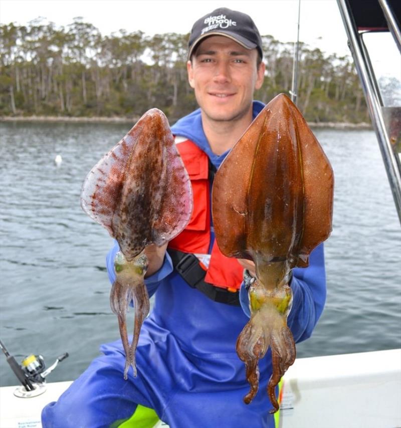 Kirill with a couple nice sized calamari fishing on the Tasman Peninsula photo copyright Spot On Fishing Hobart taken at  and featuring the Fishing boat class