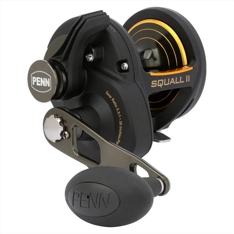 Squall® II Lever Drag Conventional Reel - photo © Penn Fishing