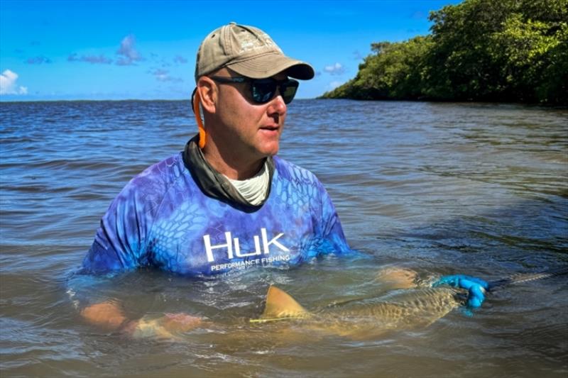 Dr. John Carlson holds a juvenile sawfish for sampling - photo © NOAA Fisheries / Annsli Hilton