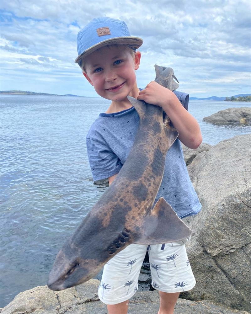 Ettie with a draughtboard shark photo copyright Spot On Fishing Hobart taken at  and featuring the Fishing boat class