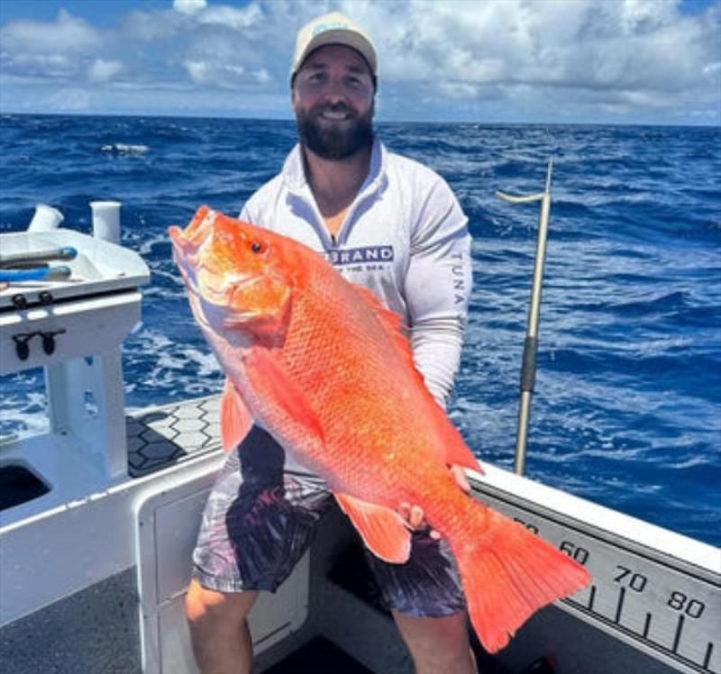 Aiden headed offshore when the rain cleared and absolutely smashed the big reefies. Nannies such as this are always welcomed on board photo copyright Fisho's Tackle World taken at  and featuring the Fishing boat class