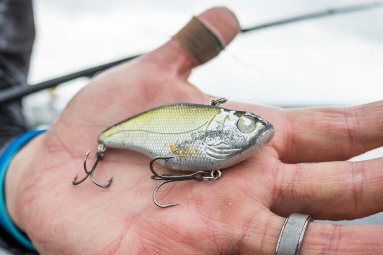 Bryan Schmitt won a Toyota Series event on Toho with this SPRO Aruku Shad - photo © Jody White