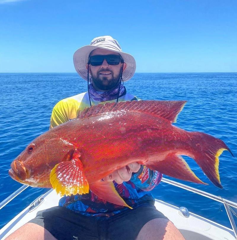 Cambel Black scored this pretty coronation trout offshore in glamour conditions photo copyright Fisho's Tackle World Hervey Bay taken at  and featuring the Fishing boat class