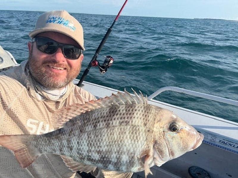 You can catch plenty of sweeties inshore in summer, if you can avoid the noahs. Stuart manages a feed regularly without too much hassle - photo © Fisho's Tackle World