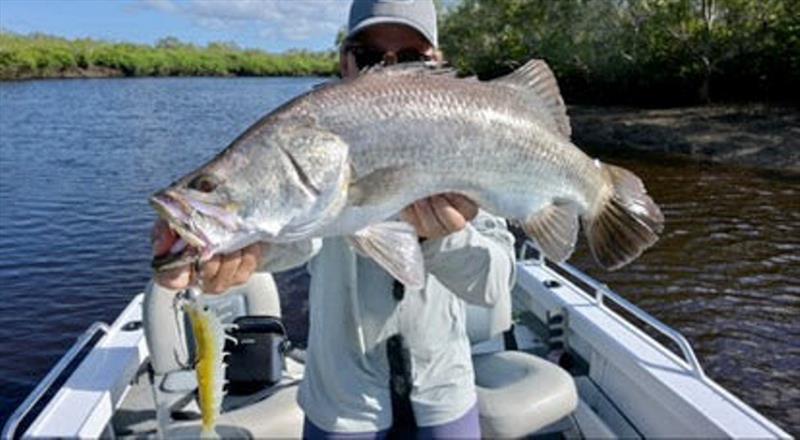 Joe's Irukandji Mega Prawn was too tempting for this barra caught from the same creek as the jack above - photo © Fisho's Tackle World