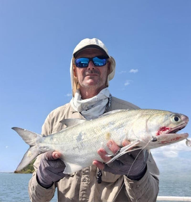 Deano has been having a fat time on the flats, catching queenies, goldies, and blues such as this one - photo © Fisho's Tackle World