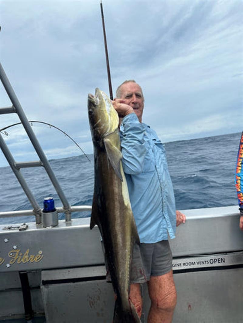 Cobia are often caught on Double Island Point Fishing Charters. Call Greg if you want to experience some of the Fraser Coast's best offshore fishing - photo © Fisho's Tackle World