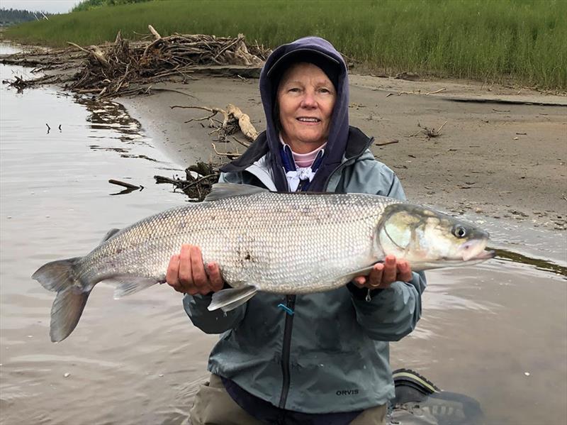 Vicki D. Martin photo copyright IGFA taken at  and featuring the Fishing boat class