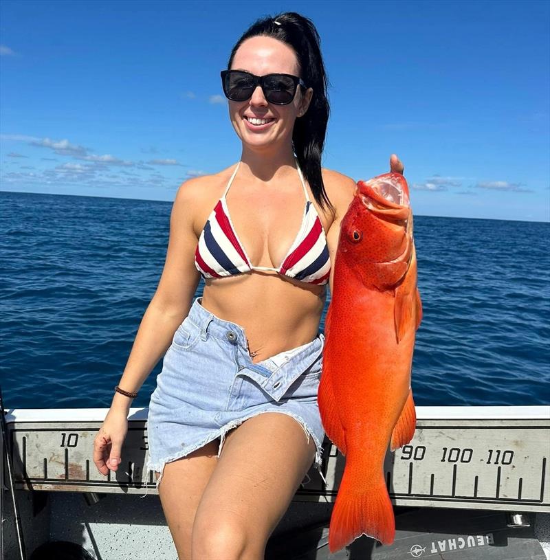 Chloe pulled some fine reef fish last weekend, including trout like this and some ripper reds. Very impressive for their 1st family trip to the GBR - photo © Fisho's Tackle World