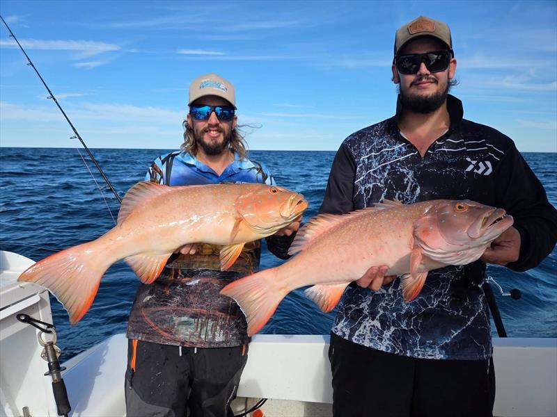 Chris put the boat on the spot for quality bar-cheeks such as these - photo © Fisho's Tackle World