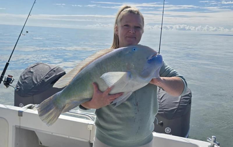 Now that s an impressive bluey Catching these brutes will be much harder when our waters cool down - photo © Fisho's Tackle World