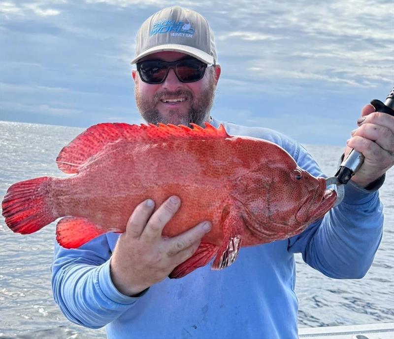 Tomato cod are a rare catch in Hervey Bay these days but head afr enough north like Staurt and Paul did and you might find some - photo © Fisho's Tackle World