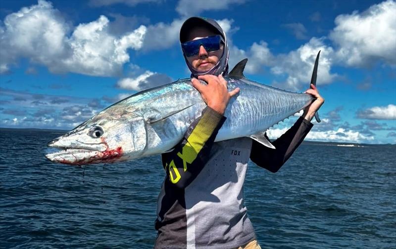 Take your larger stickbaits out for a session on the bay's spaniards. They are moving inshore and thicker than ever - photo © Fisho's Tackle World
